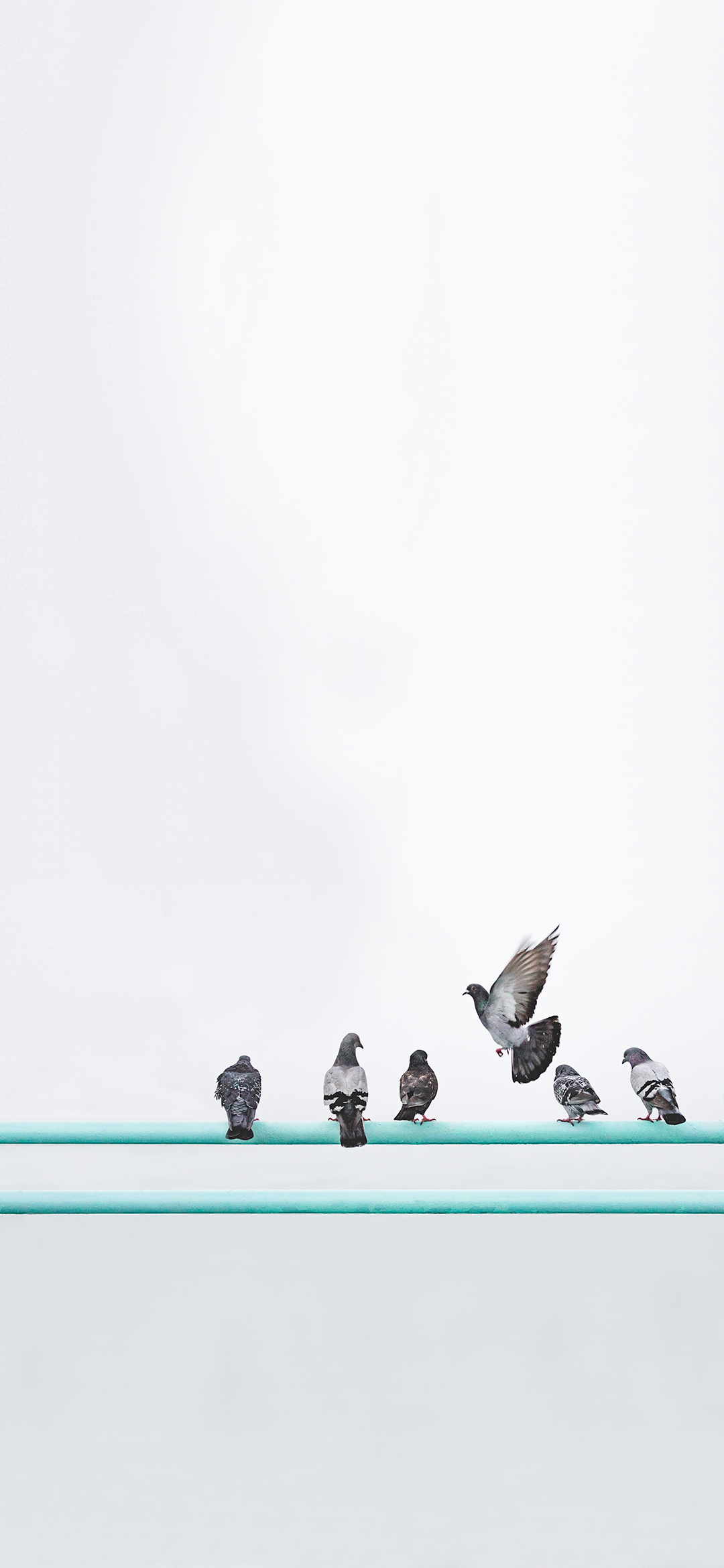 锤子Smartisan OS内置壁纸（坚果R2） - 测试岛