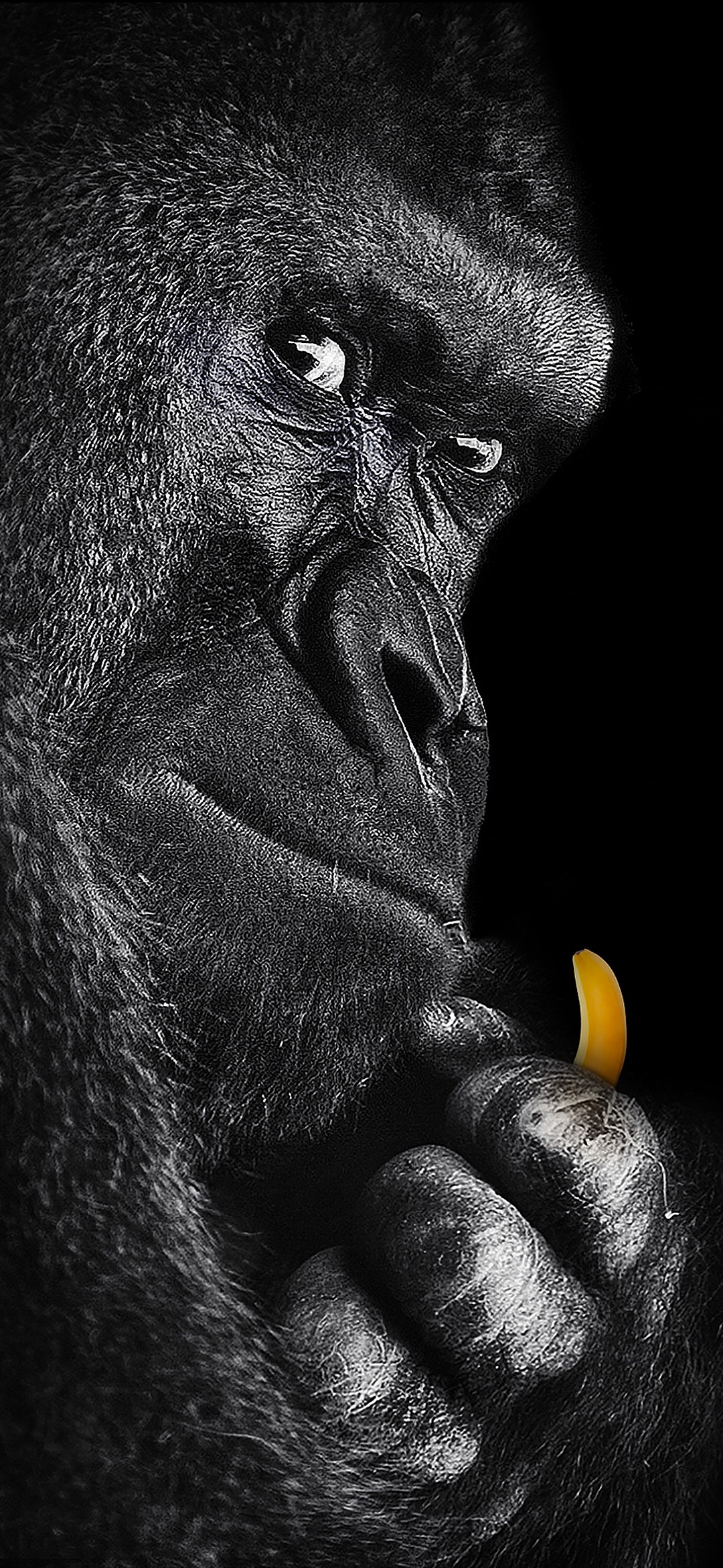 锤子Smartisan OS内置壁纸（坚果R2） - 测试岛