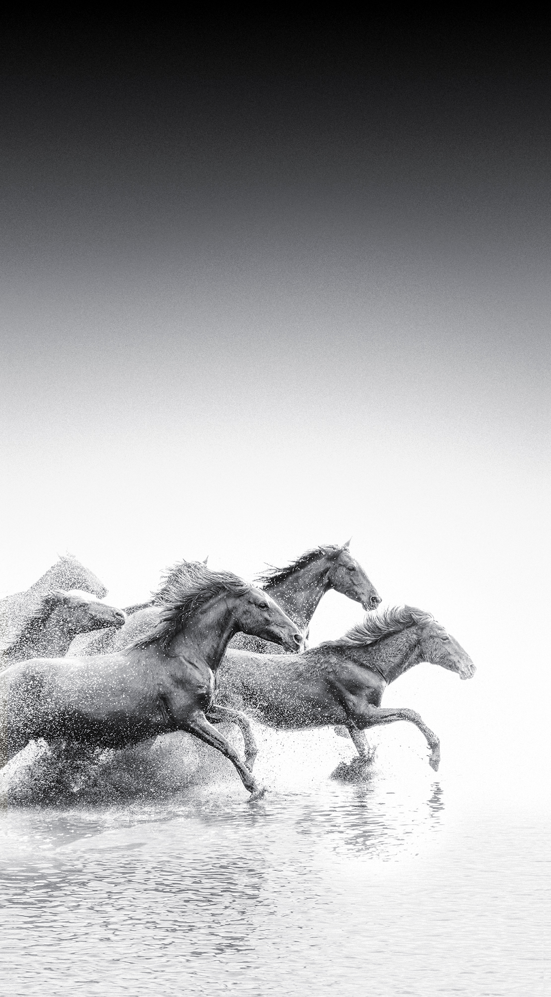 锤子Smartisan OS内置壁纸（坚果R2） - 测试岛