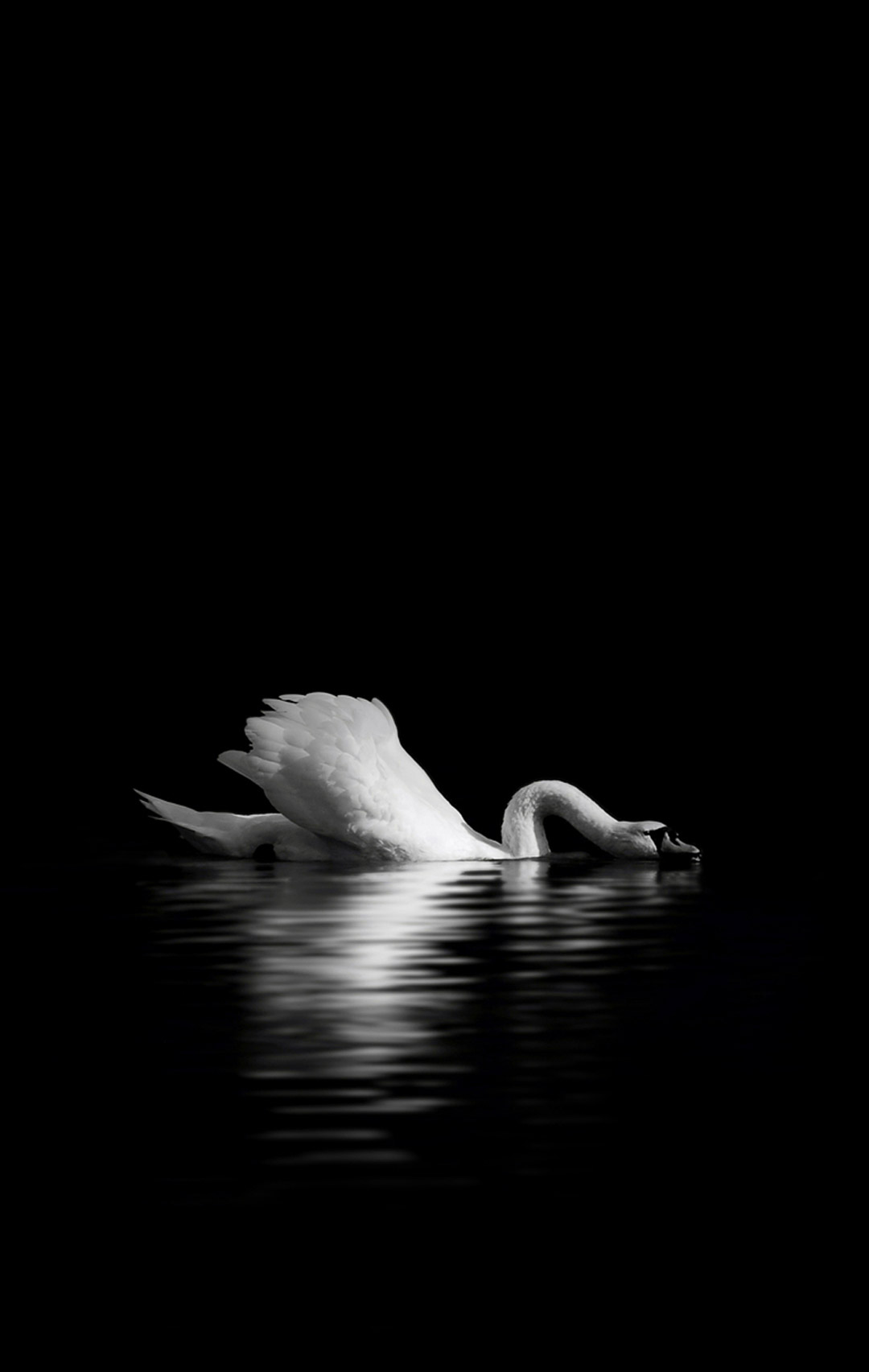 锤子Smartisan OS内置壁纸（坚果R2） - 测试岛