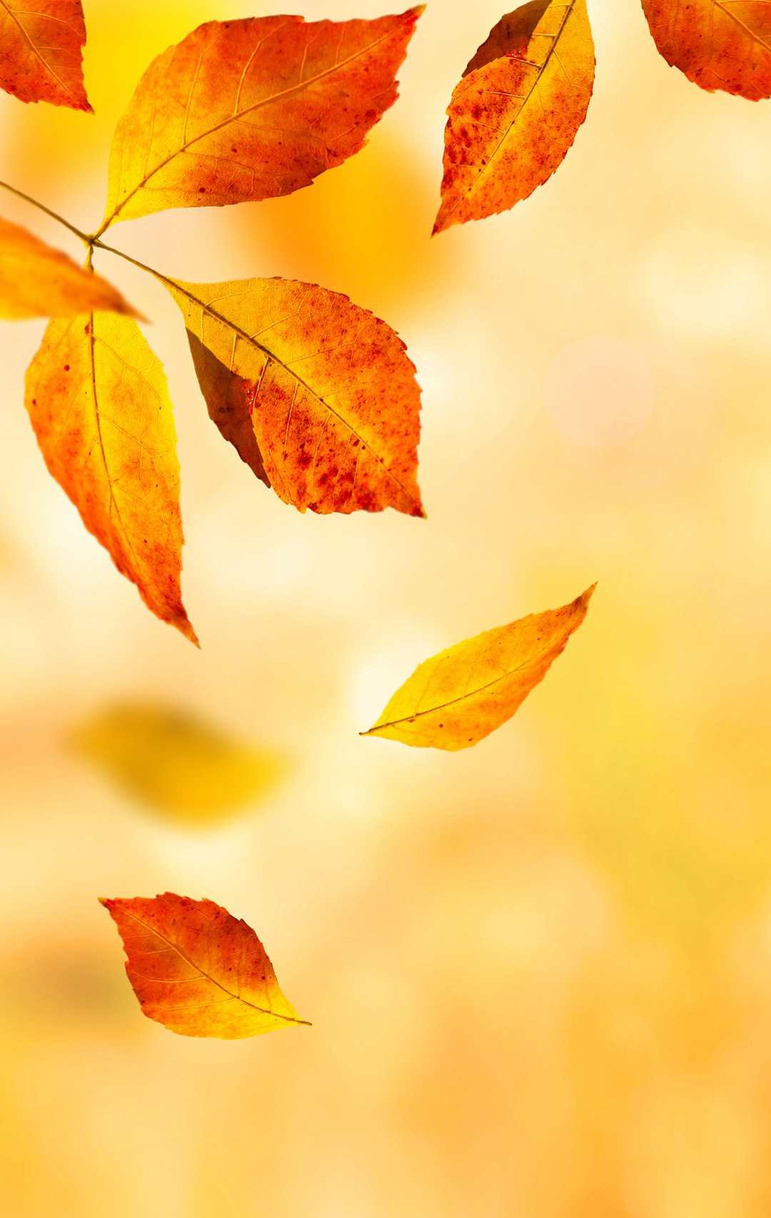 锤子Smartisan OS内置壁纸（坚果R2） - 测试岛