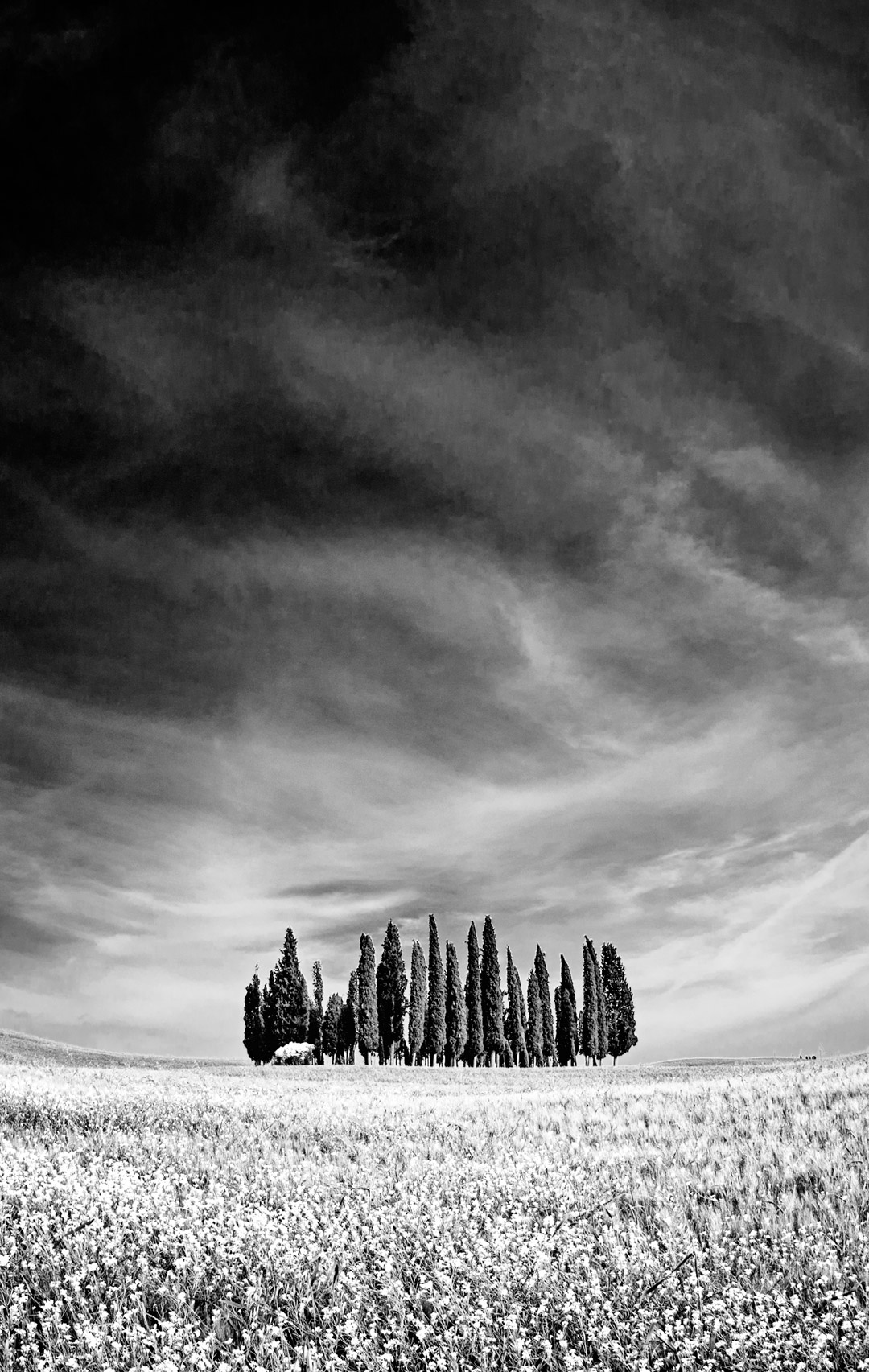 锤子Smartisan OS内置壁纸（坚果R2） - 测试岛