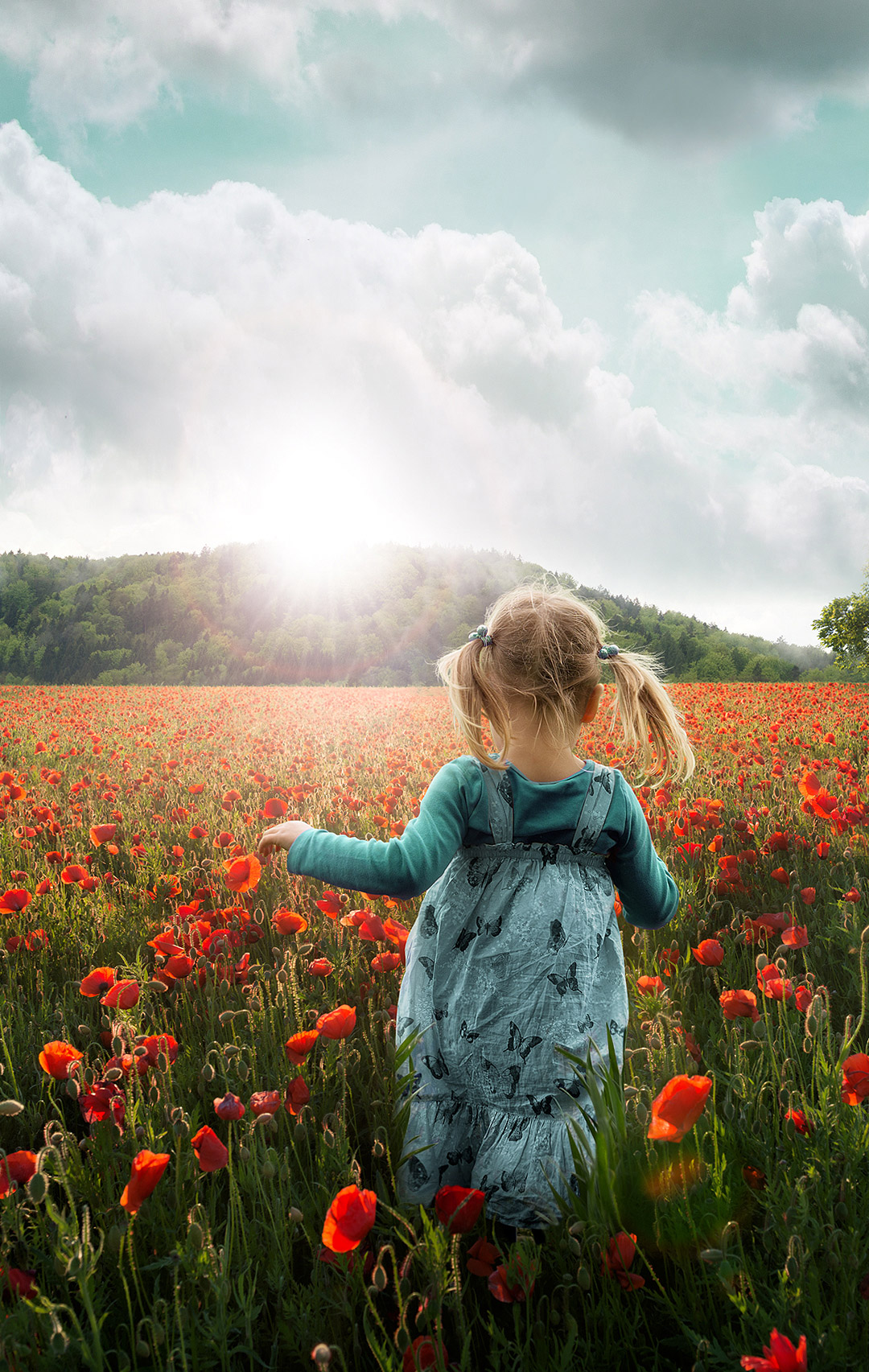 锤子Smartisan OS内置壁纸（坚果R2） - 测试岛