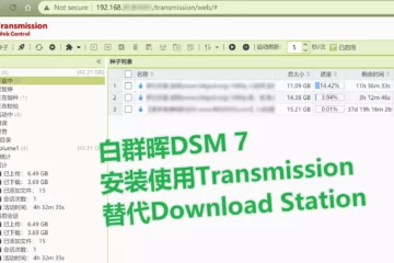 为群晖DSM 7安装Transmission及其加强版中文界面