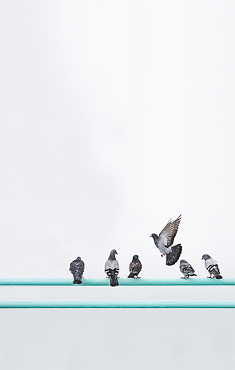 锤子Smartisan OS系统的内建壁纸的缓存26张（坚果R2） – 测试岛